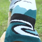 maglione a maglia per cani