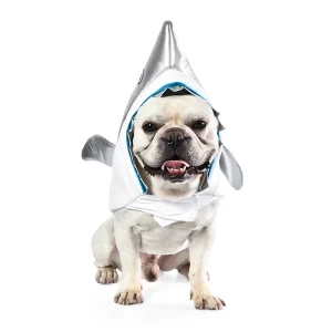 модная одежда для собак