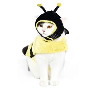 смешные собачьи шубы