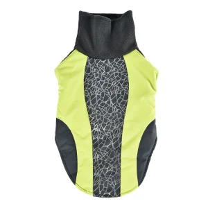 reflective clothing for dog walking