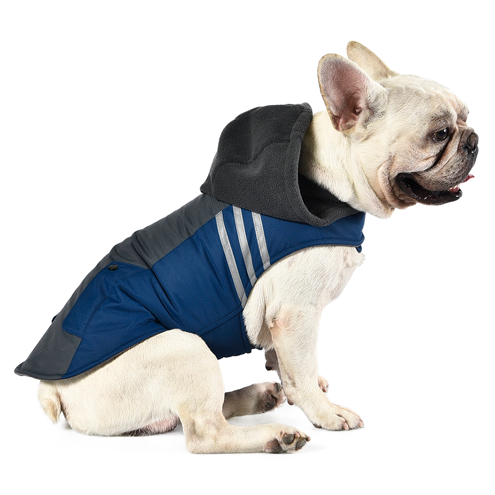 capuche de manteau de chien