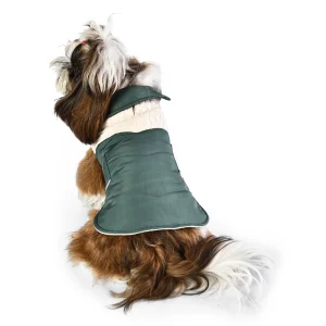 abiti firmati per cani