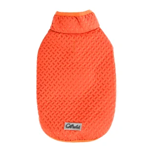 roupa de inverno para cães