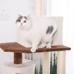 casa sull'albero per gatti