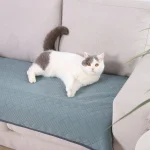 собачий плед для дивана