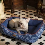 letto per cani alla moda