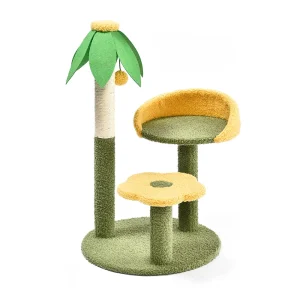 цветы в кошачьей квартире