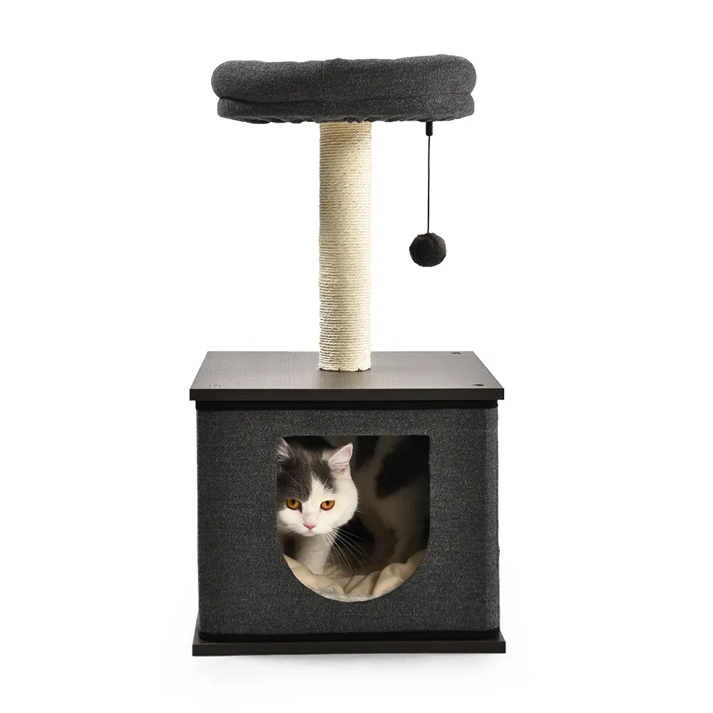 나무 고양이 콘도