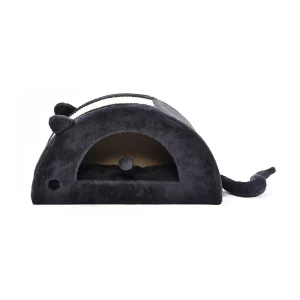 gato arranhando casa