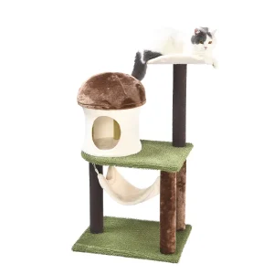 Кактусовое кошачье дерево с гамаком