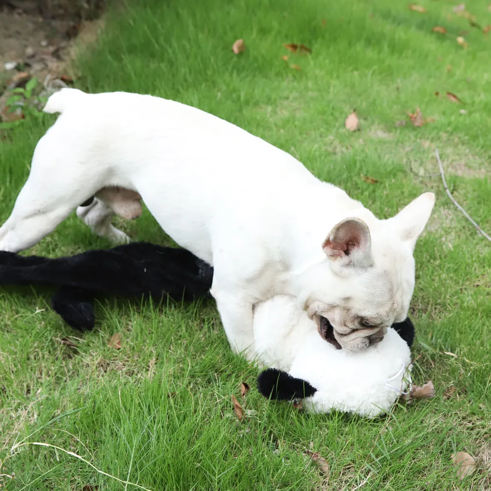 peluche di pecora per cani