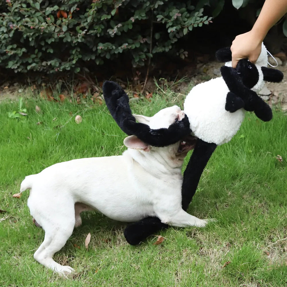 giocattoli da riporto per cani