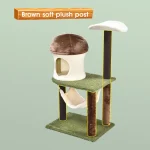 árvore de gato cacto com rede