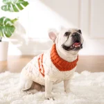 maglione per cane di piccola taglia