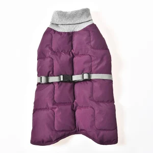 Одежда для собак на улице