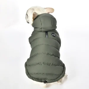 Дизайнерская толстовка для собак