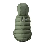 Designer Hond Hoodie