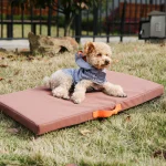 casaco com capuz amarelo para cães