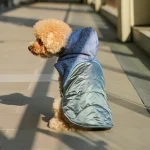 Roupas fofas de cachorrinho