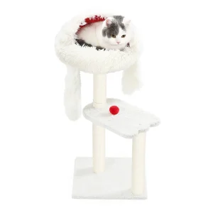 кондоминиум с кошачьей кроватью