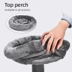 고양이 사이 잘삼 포스트