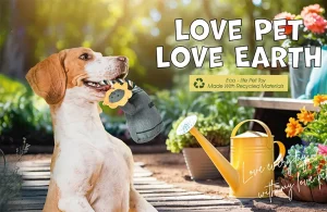 eco friendly pet products