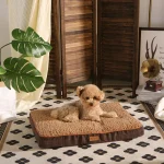 bedden voor huisdieren honden