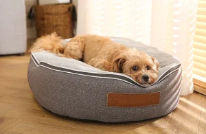 Wo kann ich Tierbedarf im Großhandel kaufen?