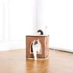 maison de jeu pour chat en bois
