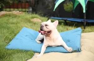 야외용 개 침대를 위한 최고의 재료