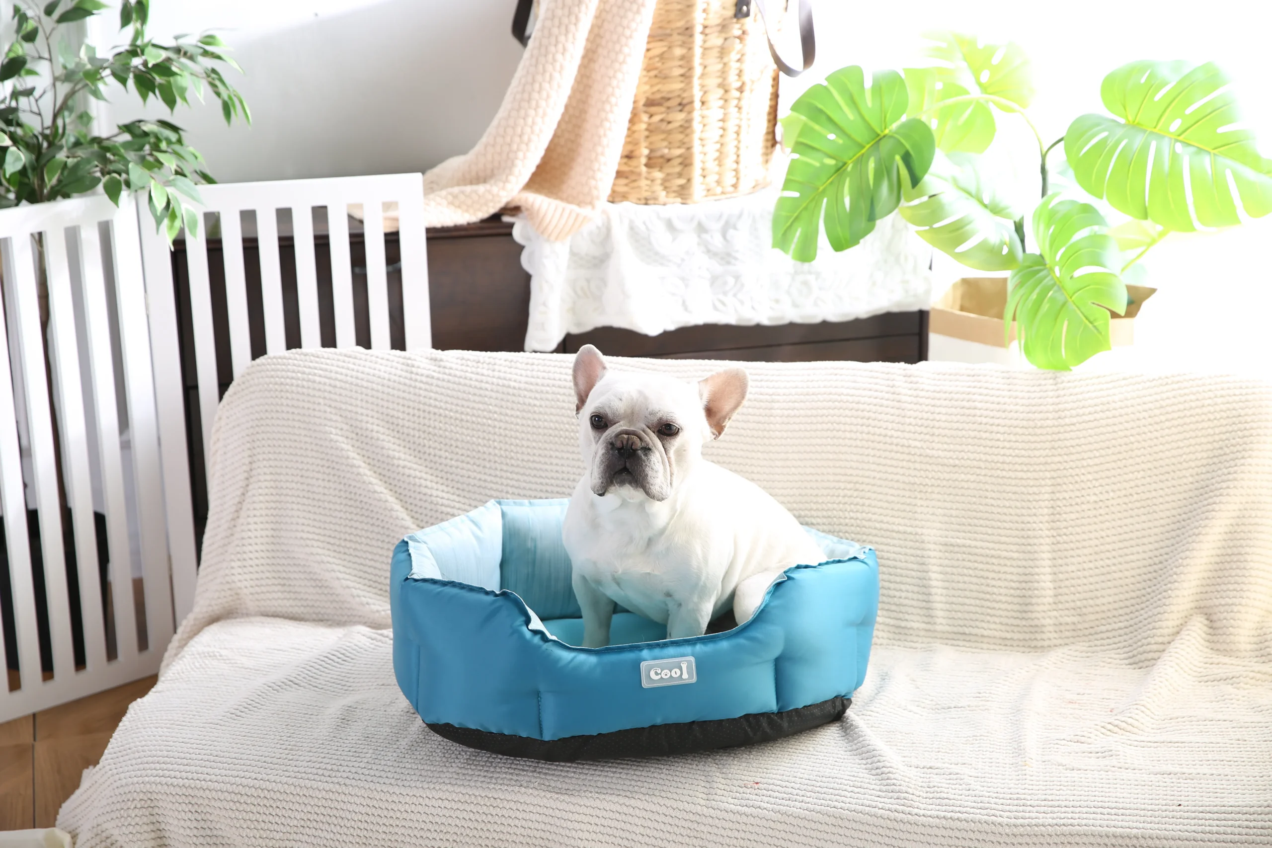 냉각 애완 동물 침대