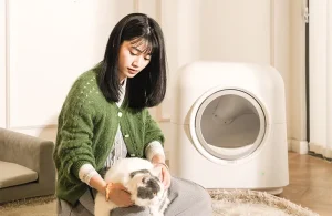 自動洗浄トイレの仕組み