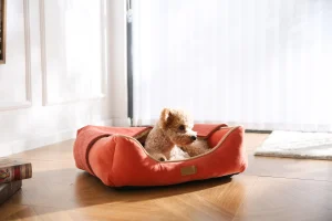 Mullifunctional pet bed