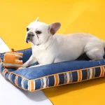 a melhor almofada para cães