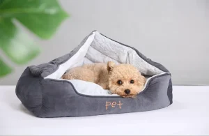 gravende hondenbedden