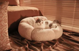 크림 부클 개 침대