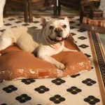 dog pet beds pillows