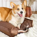 Haustier Hund Reisekissen