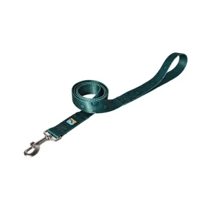 プリント犬用リード