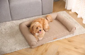 Which are the Best Orthopedic Dog Bed