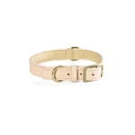 Il miglior collare per cani in pelle