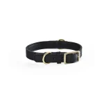 collare di cuoio nero per cani