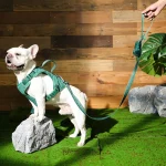 custom dog leashes