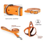 coleira de couro personalizada para cachorro