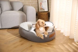 cute dog bed