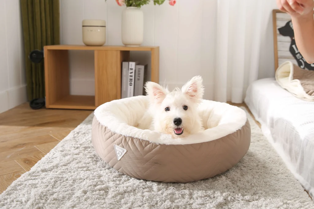 eco dog bed