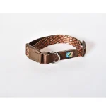 goede hondenhalsband huisdier