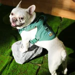 高級犬用ハーネス