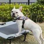 ノー・プル・ドッグ・ハーネス