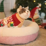 round fluffy cat bed